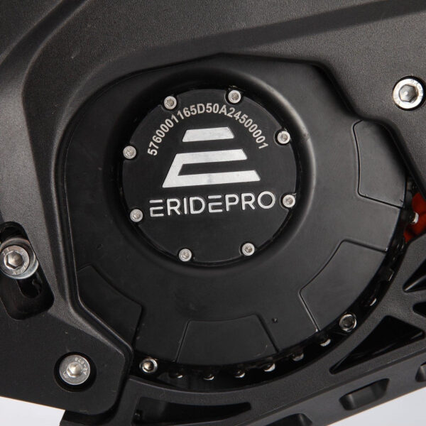 E RIDE PRO SR (19″/18″) L3E Straßenversion Vorbestellung – Bild 3